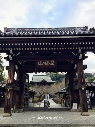 第24回マザーウルフ遠足 鎌倉天園レポート_e0191026_13404372.jpg