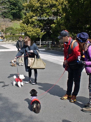 第24回マザーウルフ遠足 鎌倉天園レポート_e0191026_14003415.jpg
