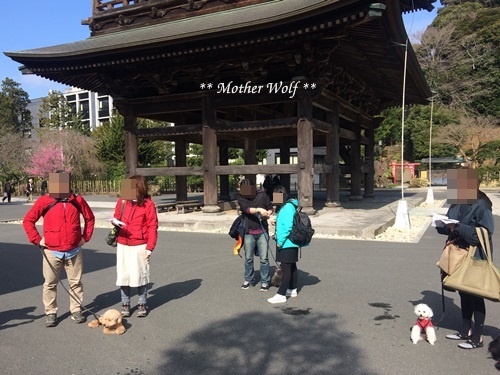 第24回マザーウルフ遠足 鎌倉天園レポート_e0191026_15130373.jpg