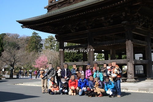 第24回マザーウルフ遠足 鎌倉天園レポート_e0191026_15341494.jpg