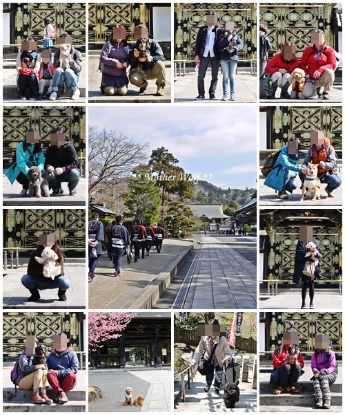 第24回マザーウルフ遠足 鎌倉天園レポート_e0191026_16001958.jpg