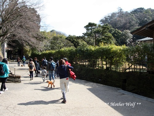 第24回マザーウルフ遠足 鎌倉天園レポート_e0191026_16360460.jpg