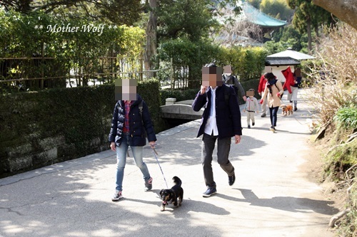 第24回マザーウルフ遠足 鎌倉天園レポート_e0191026_16572911.jpg