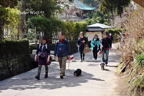 第24回マザーウルフ遠足 鎌倉天園レポート_e0191026_17000622.jpg