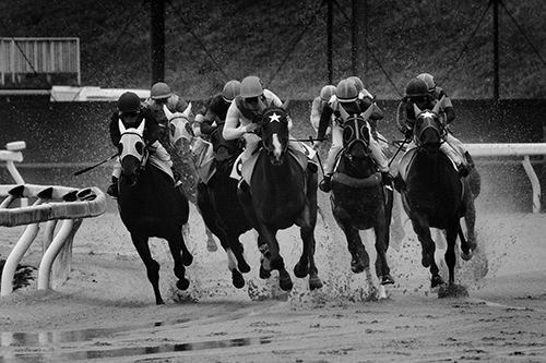 雨の日、競馬場_f0078127_17052304.jpg