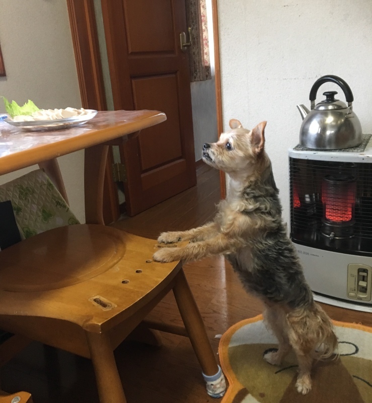 d0359930_08331671.jpeg