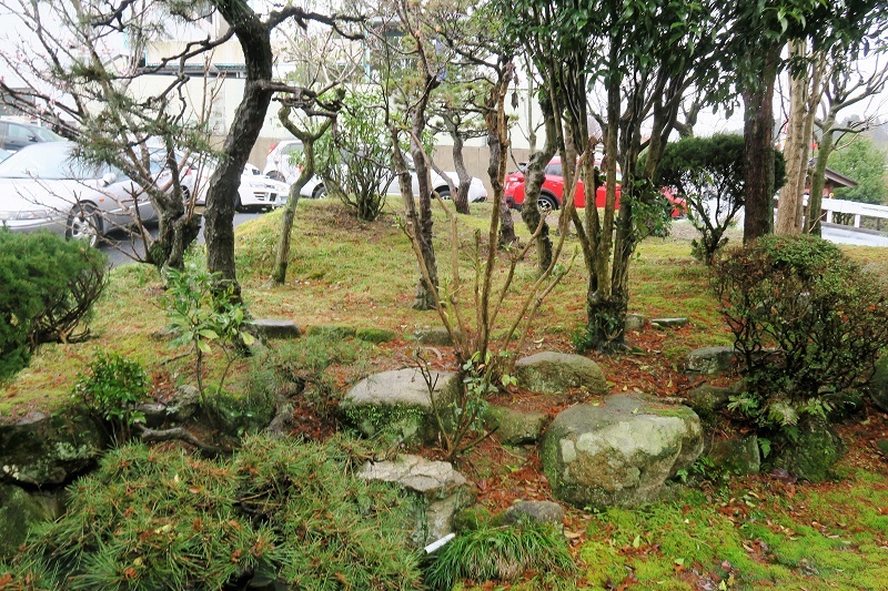 雨の春分_f0076731_21434125.jpg