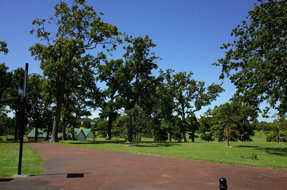 a0287336_21123279.jpg
