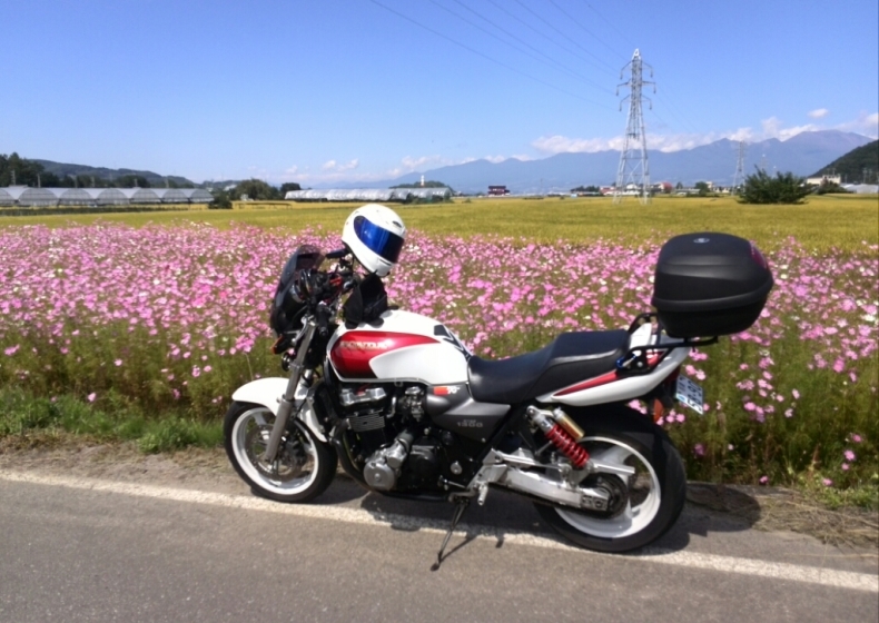 d0378837_07312412.jpg