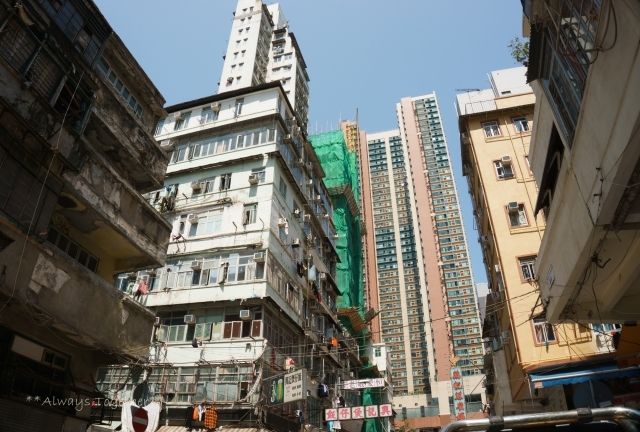 c0319240_10372647.jpg