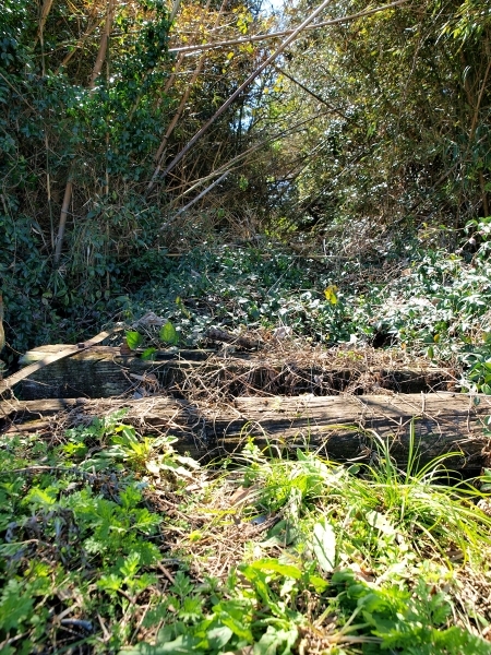 c0281841_12260224.jpg