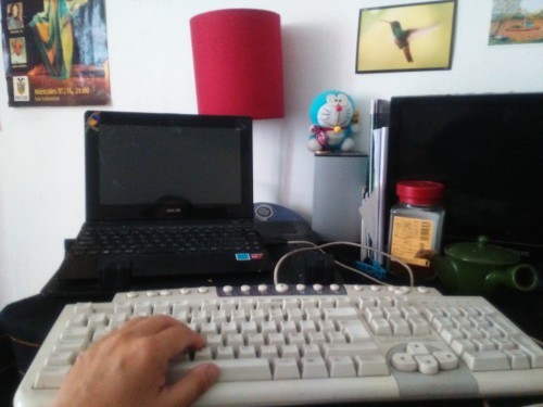 fotografia Mari Sano