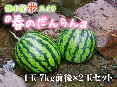 夢スイカ 小玉スイカ「ひとりじめHM」、大玉スイカ「春のだんらん」本日より先行予約の受付スタート!_a0254656_19430710.jpg