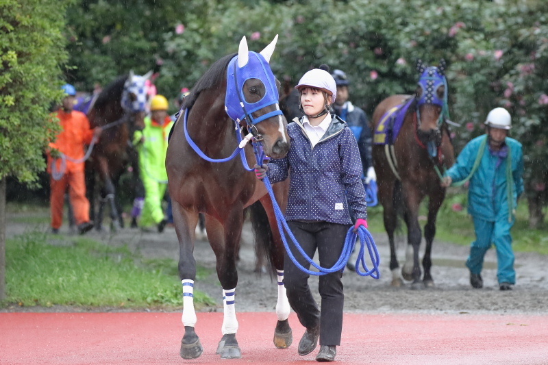 農林水産大臣賞典 第20回黒船賞 JpnIII その1_a0077663_01162556.jpg
