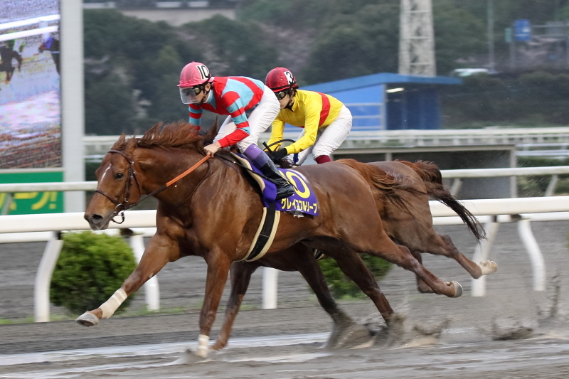  農林水産大臣賞典 第20回黒船賞 JpnIII その3_a0077663_11210848.jpg