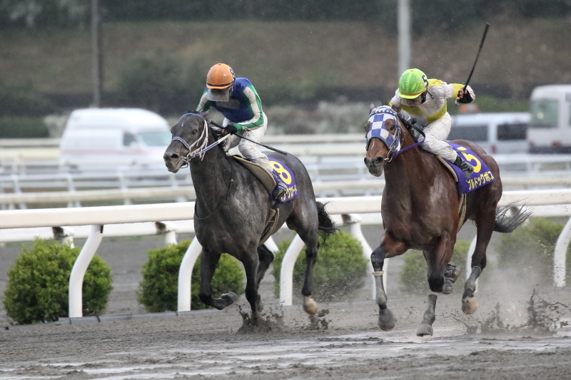  農林水産大臣賞典 第20回黒船賞 JpnIII その3_a0077663_11211573.jpg