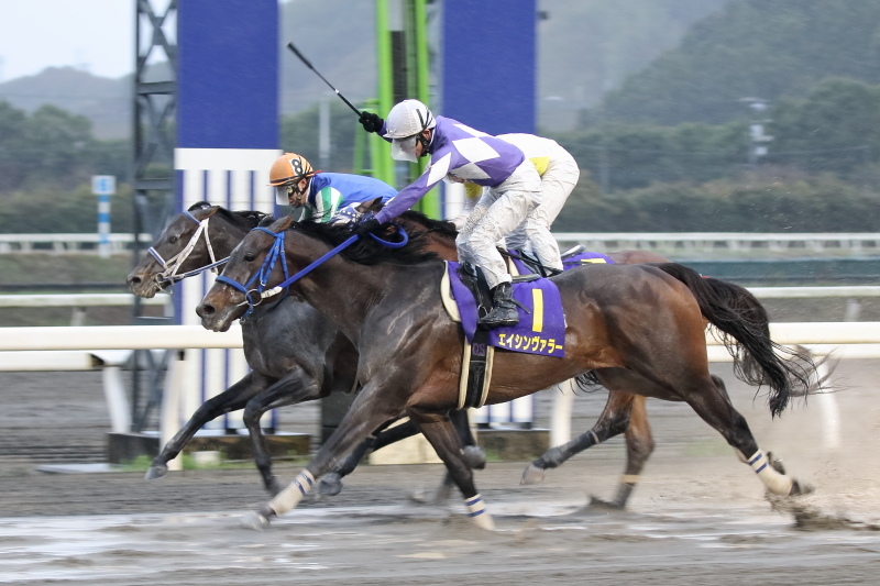  農林水産大臣賞典 第20回黒船賞 JpnIII その3_a0077663_11212110.jpg