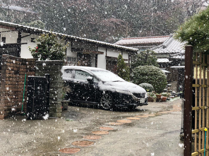 雪降っているし（この季節に）_f0096666_12061884.jpg