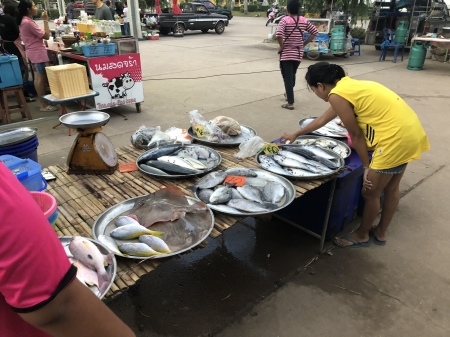 b0241778_23095263.jpeg