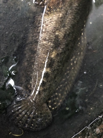 b0241778_23152044.jpeg