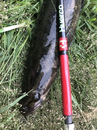 b0241778_23155672.jpeg