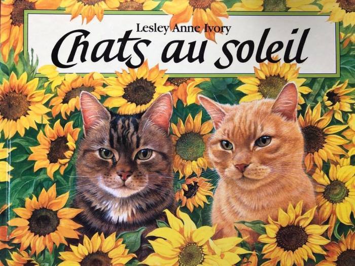 フランス語絵本 陽だまりの猫たち 海の古書店 フランス語絵本 陽だまりの猫たち 海の古書店