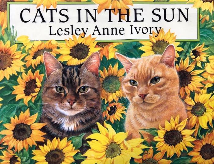 フランス語絵本 陽だまりの猫たち 海の古書店 フランス語絵本 陽だまりの猫たち 海の古書店