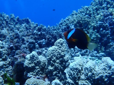 f0297095_00180786.jpg