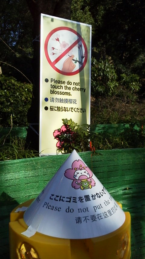 c0177198_1214247.jpg