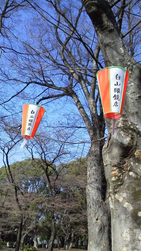 c0177198_1214292.jpg