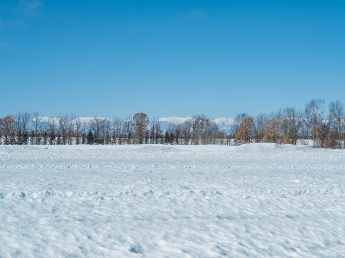 春の日差しが降り注ぐ畑・・でも雪どけはまだまだです。_f0276498_22561812.jpg