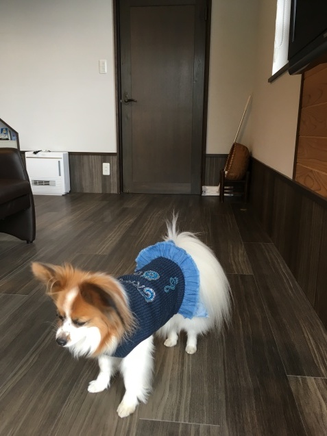 f0034602_08471769.jpeg