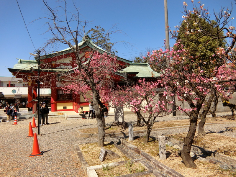 天神みくじと紅梅（上野天満宮）_a0362603_21413960.jpg