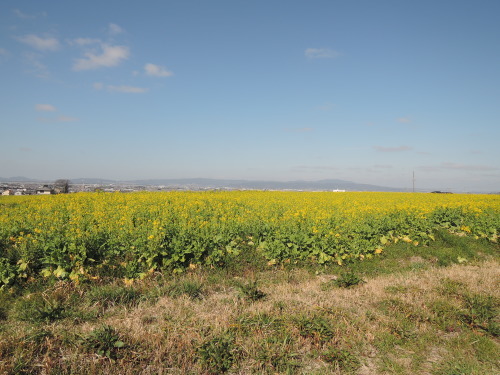 d0230507_17144403.jpg