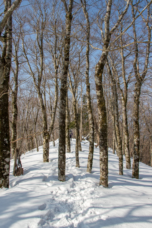 b0244811_21313214.jpg