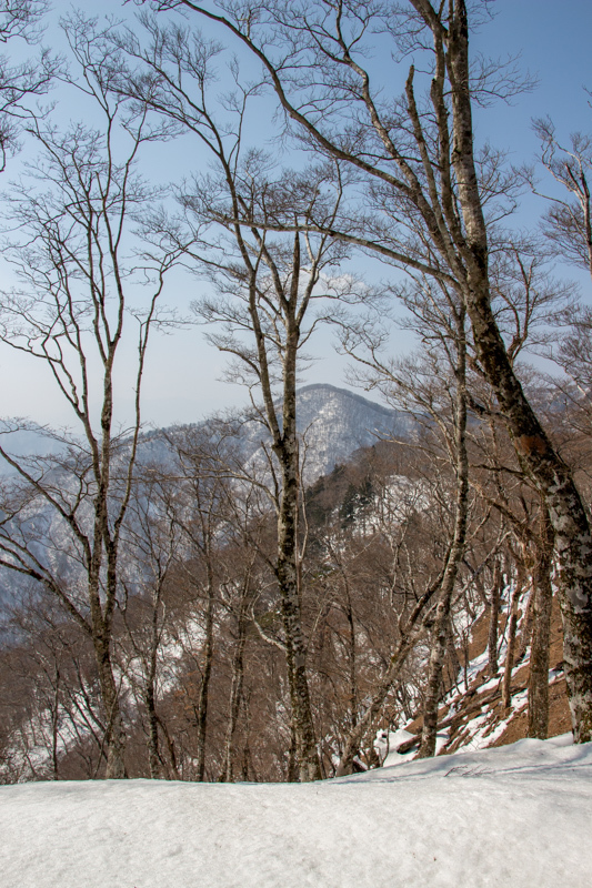 b0244811_21361035.jpg
