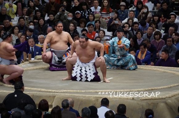  大相撲　大阪（三月）場所11日目観戦_d0348118_09404624.jpg