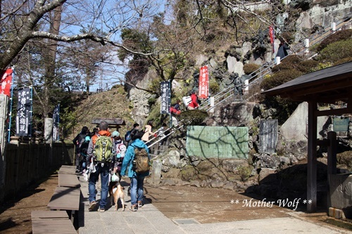 第24回マザーウルフ遠足 鎌倉天園レポート_e0191026_15420188.jpg