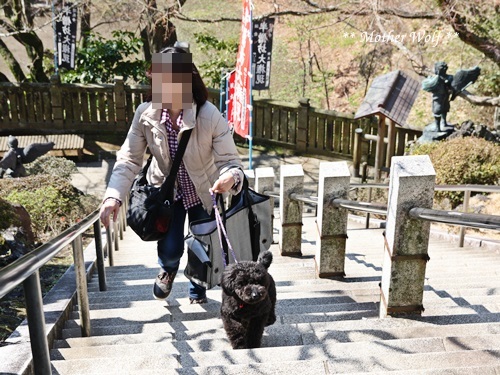 第24回マザーウルフ遠足 鎌倉天園レポート_e0191026_17581451.jpg
