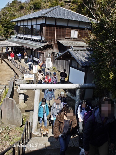 第24回マザーウルフ遠足 鎌倉天園レポート_e0191026_18212923.jpg