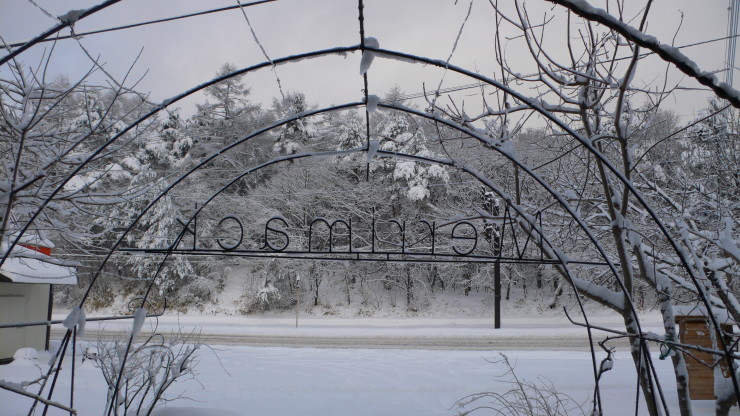 f0226226_10212705.jpg
