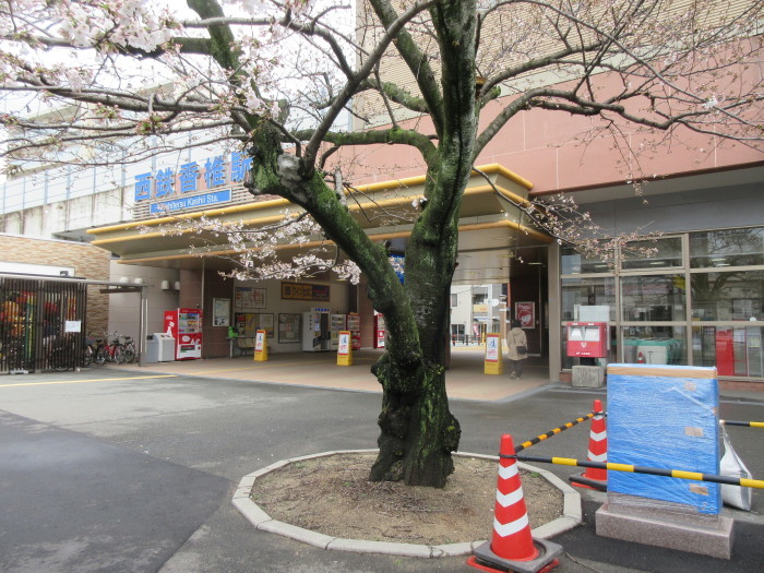 b0014732_19592643.jpg