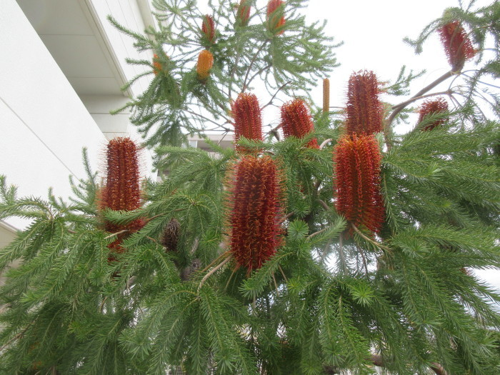 b0014732_20082700.jpg