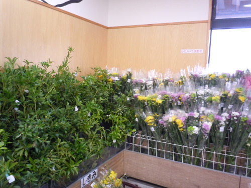 f0227432_10323706.jpg
