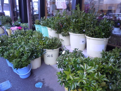 f0227432_10324504.jpg