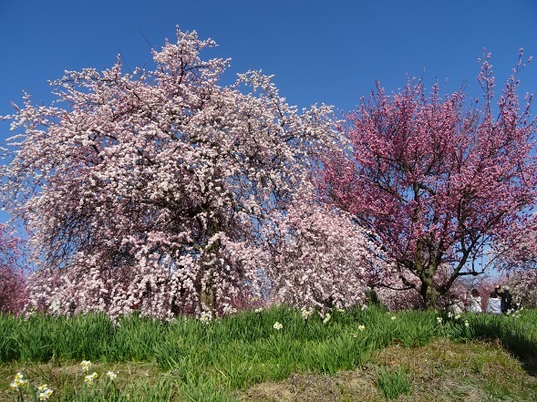 b0299042_10092260.jpg