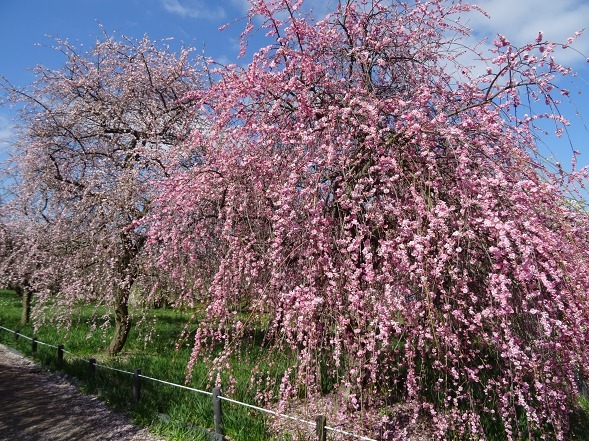 b0299042_10095397.jpg