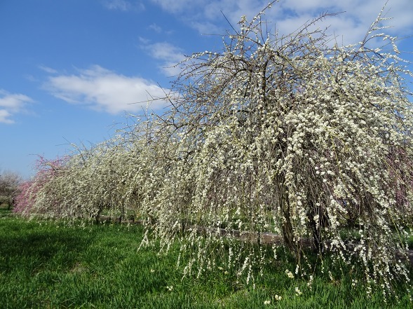 b0299042_10095753.jpg