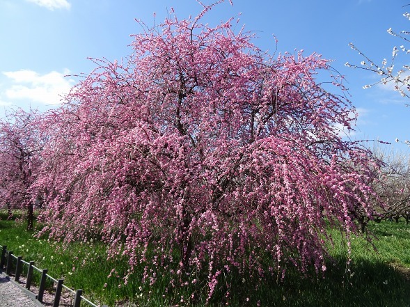 b0299042_10100117.jpg