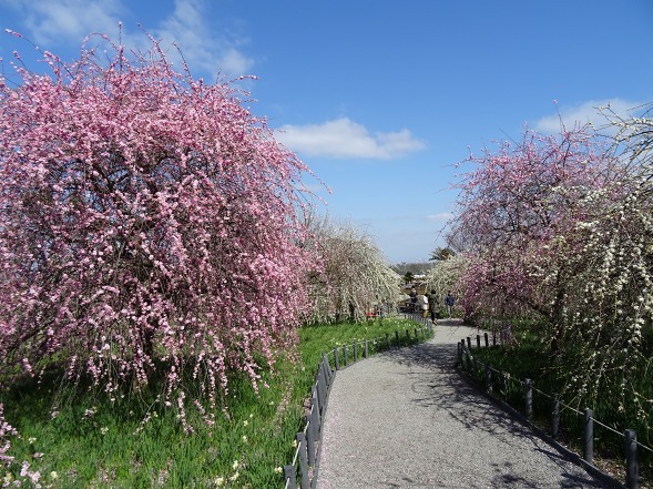 b0299042_10100553.jpg